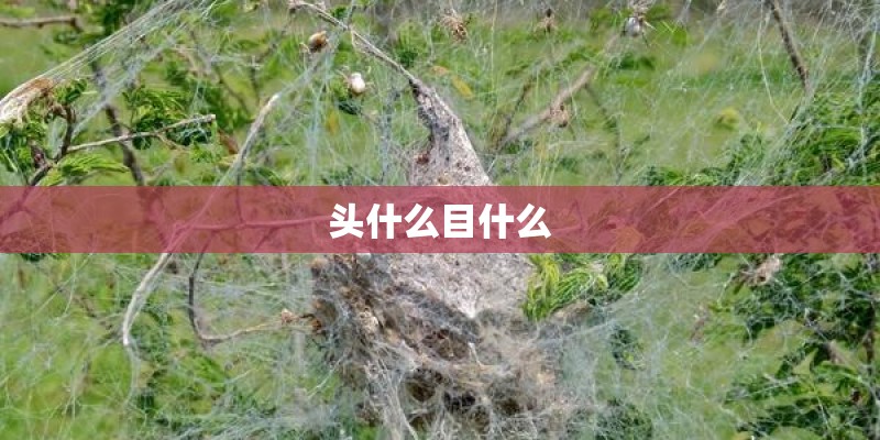 欧洲游记（四）瑞典马尔默
