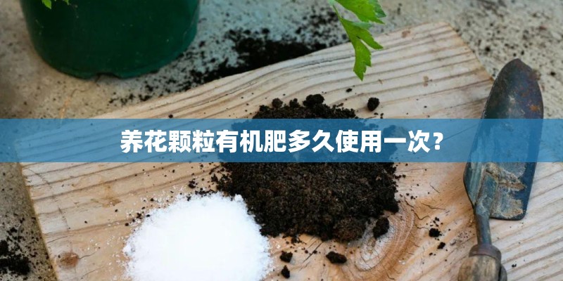 污水处理行业现在都用的什么鼓风机？
