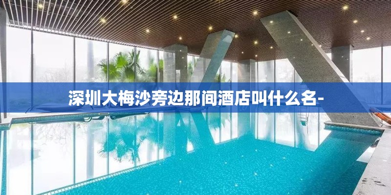 深圳大梅沙旁边那间酒店叫什么名-