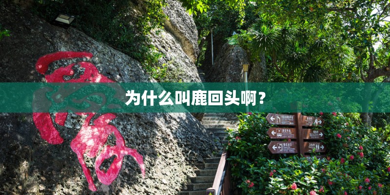 为什么叫鹿回头啊？