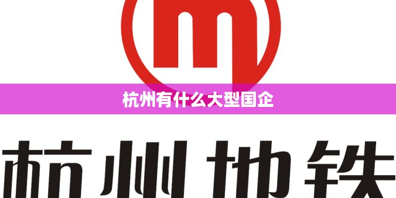 杭州有什么大型国企