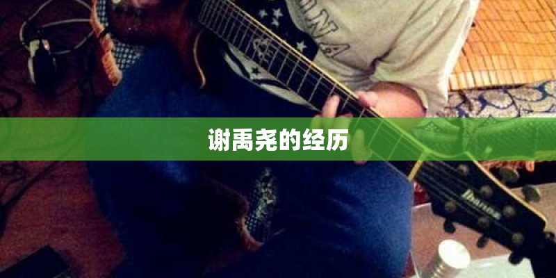 谢禹尧的经历