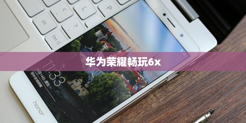 华为荣耀畅玩6x