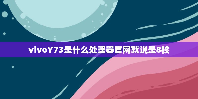 vivoY73是什么处理器官网就说是8核