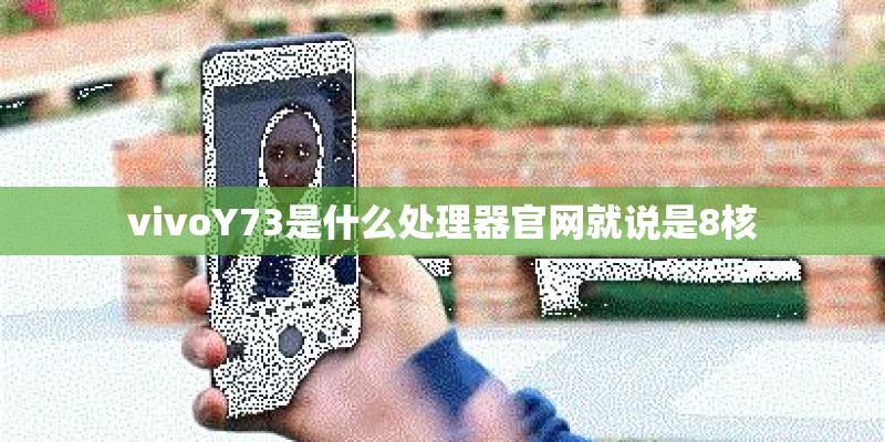 vivoY73是什么处理器官网就说是8核