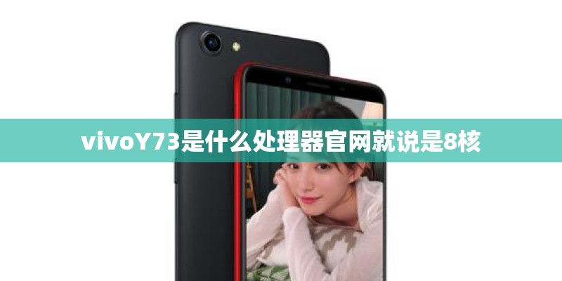vivoY73是什么处理器官网就说是8核