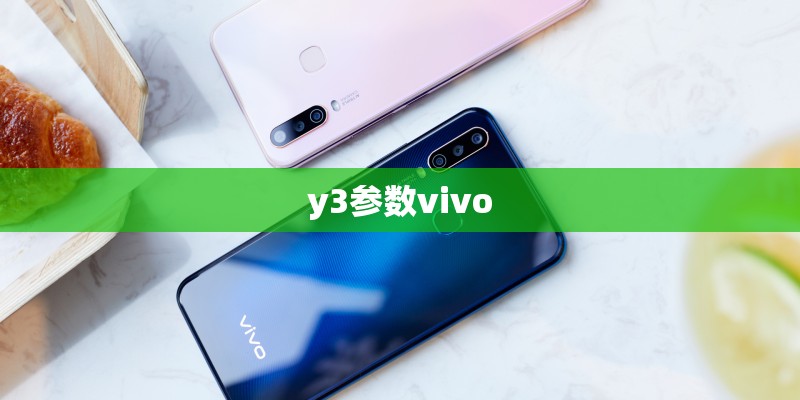 y3参数vivo