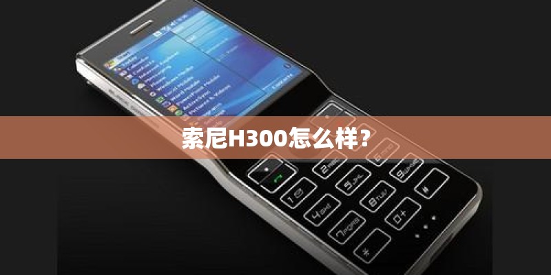 索尼H300怎么样？