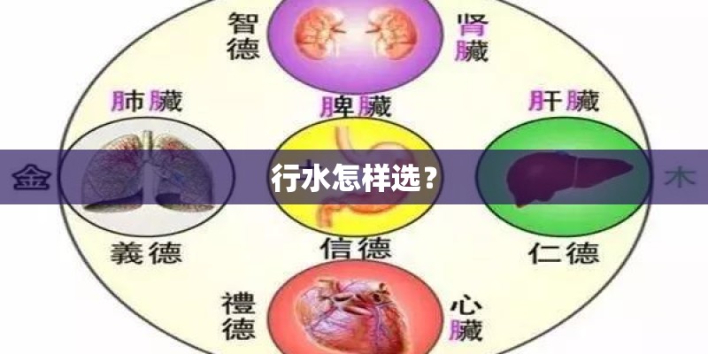 行水怎样选？
