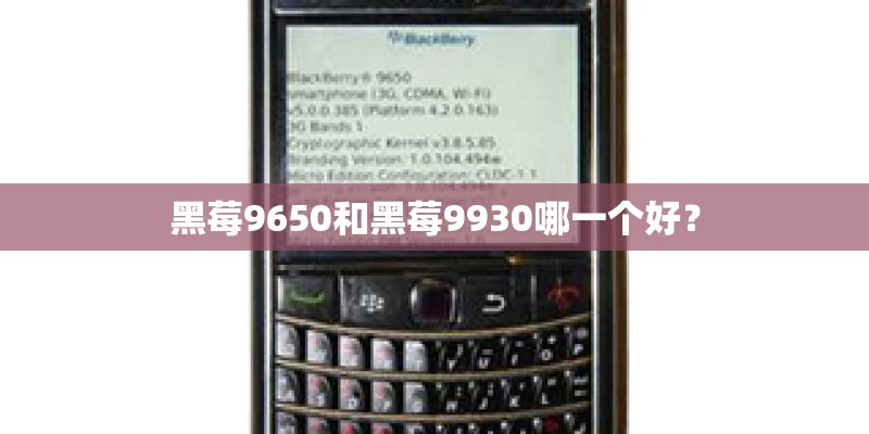 黑莓9650和黑莓9930哪一个好？