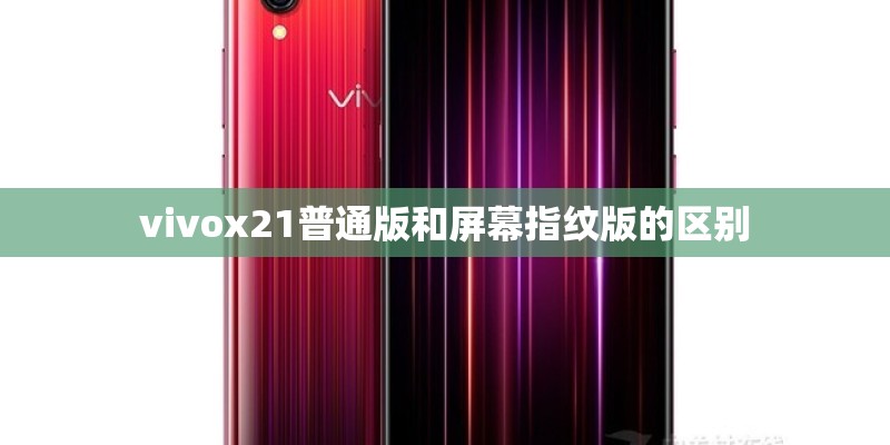 vivox21普通版和屏幕指纹版的区别