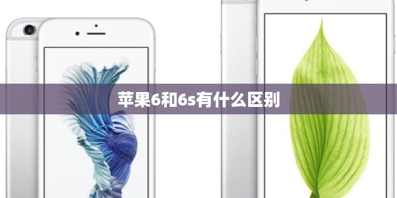 苹果6和6s有什么区别