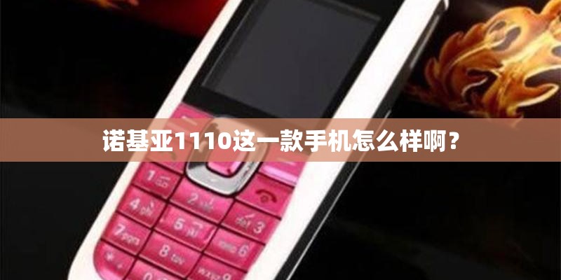 诺基亚1110这一款手机怎么样啊？