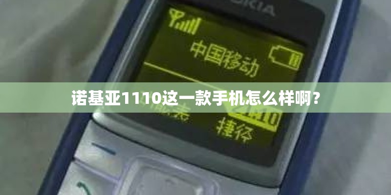诺基亚1110这一款手机怎么样啊？