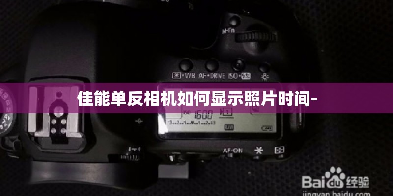 苹果15几个颜色
